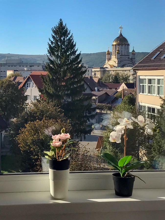 Davcom Studio Făgăraş Zewnętrze zdjęcie